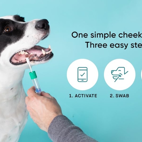 Embark Dog DNA Breed Identification Test - Picture 2 of 3